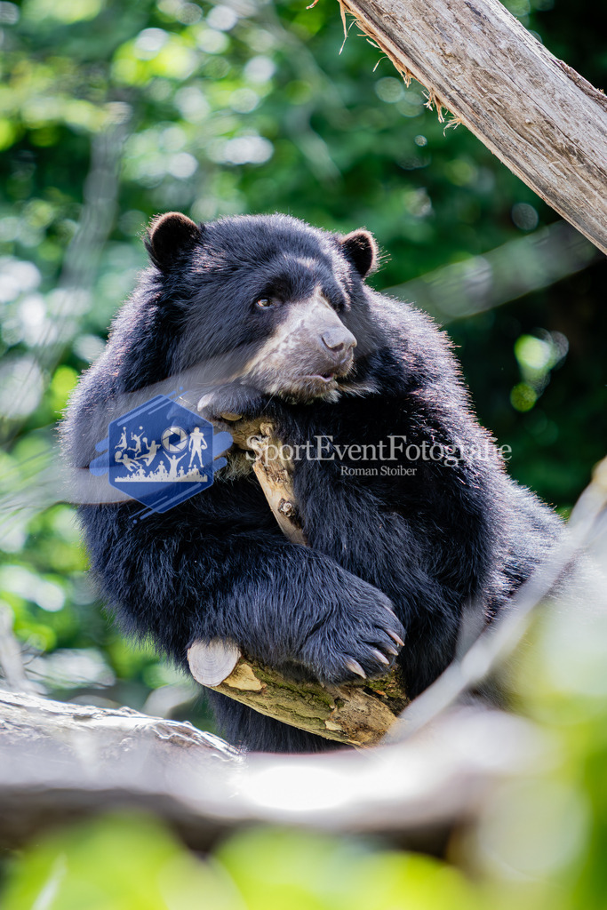 IMG_6426 | SportEventFotografie - Roman Stoiber