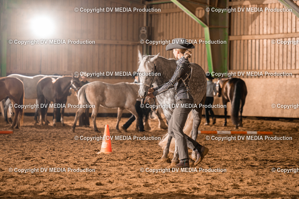 BAL01262 | dv-media-shop - Realisiert mit Pictrs.com