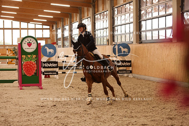 1J2A7906Francie Siegmund_ Heidi 682_ Kn277_ Glantz_ Hohen Wieschendorf | Foto- und Videografie für alles rund ums Pferd. Hochwertige Bilder und Videos vom Spring- und Dressurreiten, Voltigieren & mehr. Jetzt aktuelle Veranstaltungen und Preise im Shop ansehen. - Realisiert mit Pictrs.com