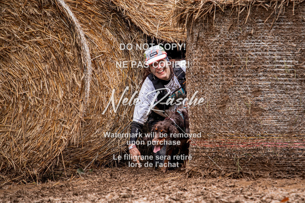 nelerasche_Hunsrück_So09-11_53 | nelerasche