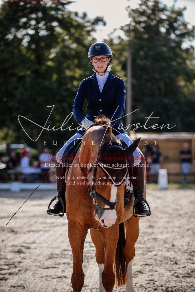 DSC_0497 | Pferde- und Turnierfotografie in Westsachsen. Pferdeportraits, Auftragszeichnungen und intuitive Kunst.