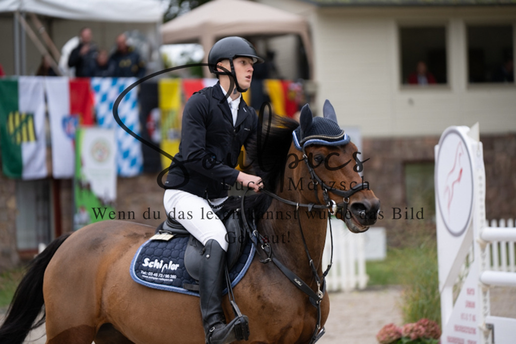 A7V00809 | Pferdefotograf