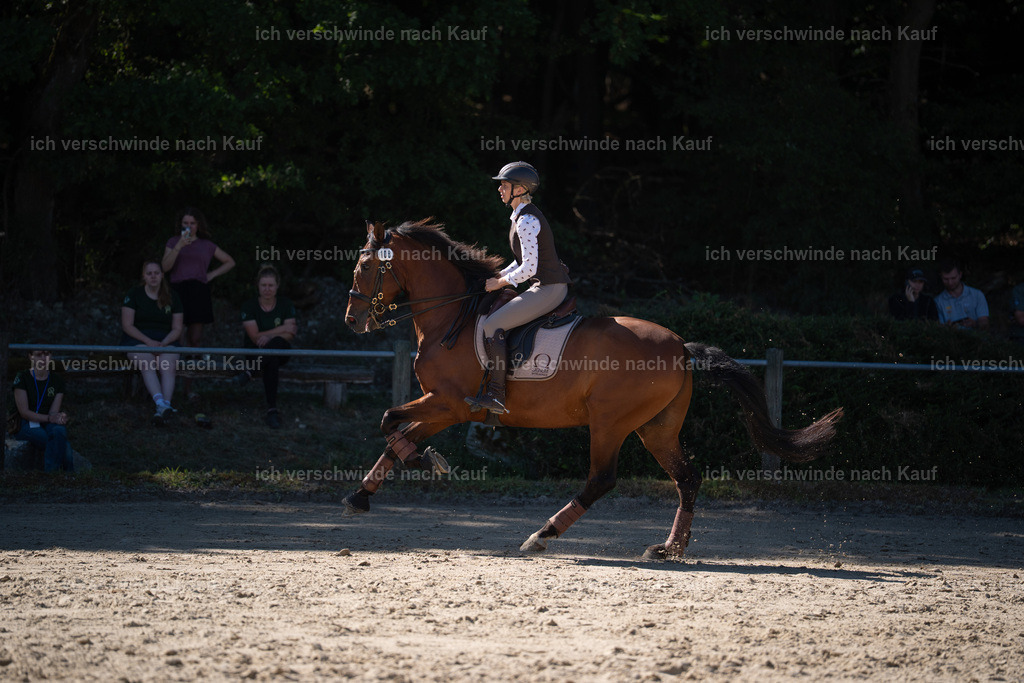 WL_SP_106_Stoibphotography_SO15887 | working equitationturnier fotograf videograf stoibphotography marixx film working equitation deutschland reitsport turnierfotografie eventfotografie equestrian events