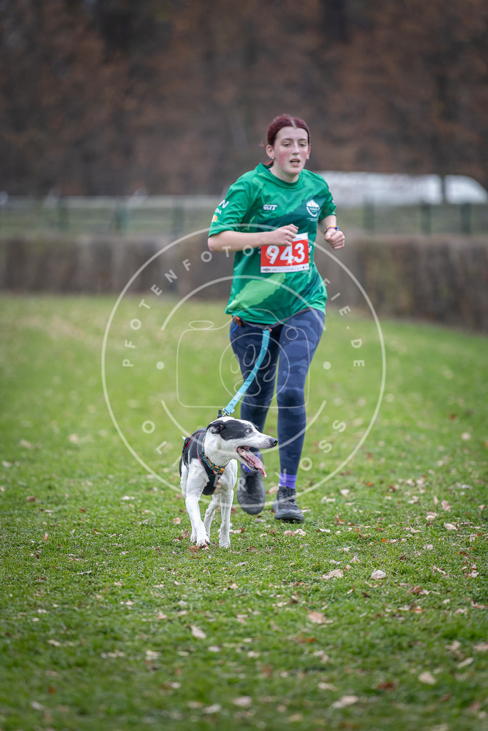 CaniXpix_DV3A7267 | Hundefotografie, Tierfotograf, Pfotenfotografie, Fotoshooting Hund, Hunde Portrait, Hundesport, Hundeportraits, Heideshooting, Hunde, Sportfotograf, Hundefotograf, Turnierhundsport, THS,  - Realisiert mit Pictrs.com