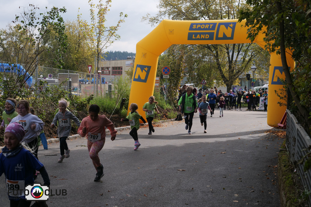 P1017417 | Foto Buchgraber