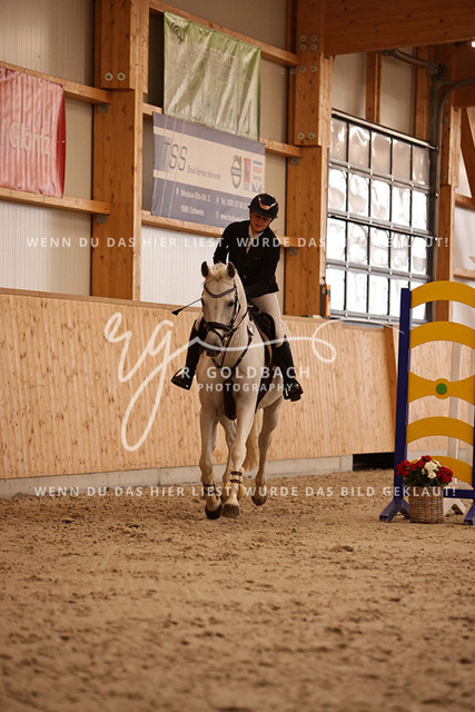 1J2A3883Luisa Teichmann_ Dara 29_ Kn203_ Hohen Wieschendorf_ Glantz | Foto- und Videografie für alles rund ums Pferd. Hochwertige Bilder und Videos vom Spring- und Dressurreiten, Voltigieren & mehr. Jetzt aktuelle Veranstaltungen und Preise im Shop ansehen. - Realisiert mit Pictrs.com