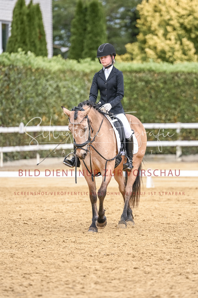 Schugtsche-Aluta25-44.DresssurreiterWB-249 | Schugtsche Fotografie - Realisiert mit Pictrs.com