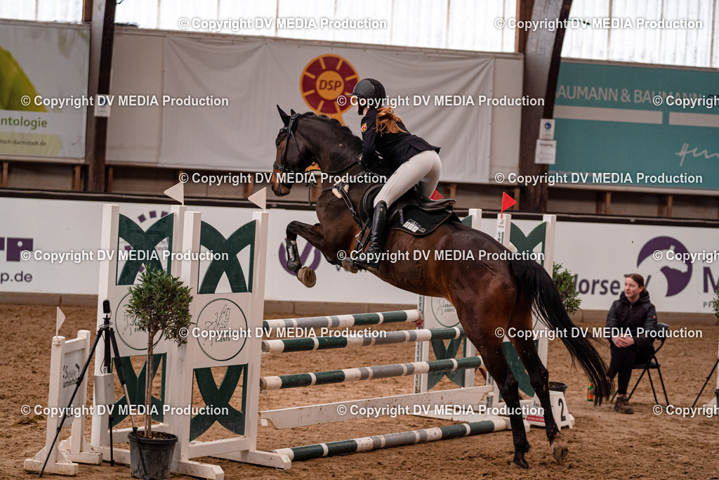 Kranichstein Tag 2-248 | dv-media-shop - Realisiert mit Pictrs.com