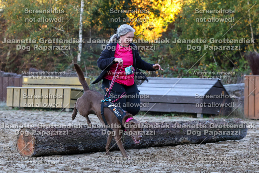 Dog Paparazzi - Strongdog 10-25-290 | Dog Paparazzi Jeanette Grottendiek Fotografie & Videografie - Realisiert mit Pictrs.com