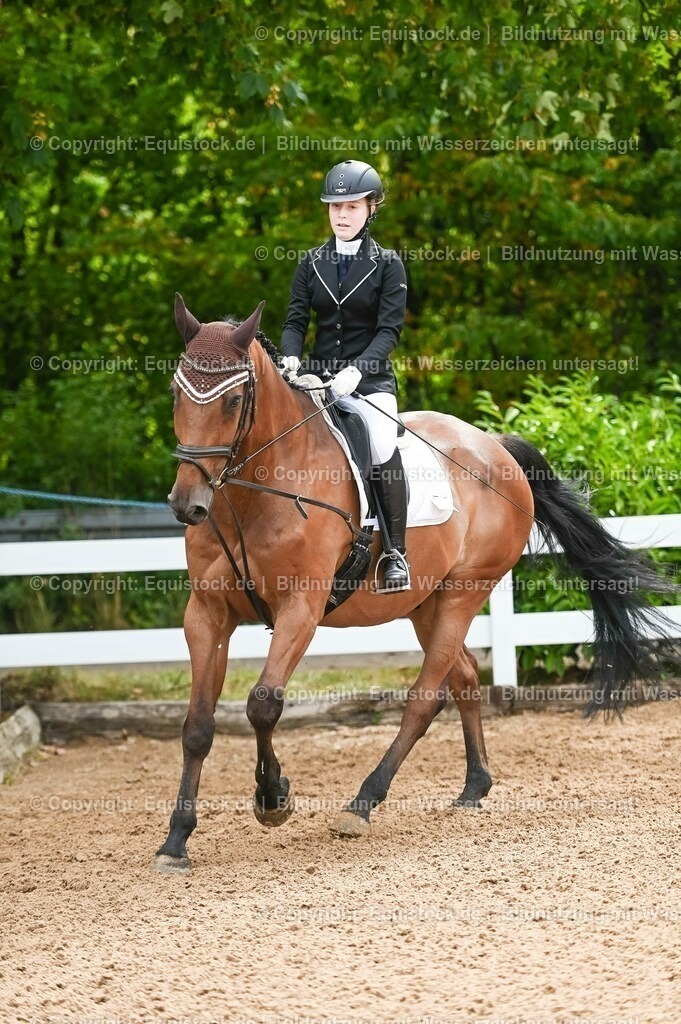 20230716_10-1_Reiter-WB Schritt - Trab - Galopp_0087 | equistock