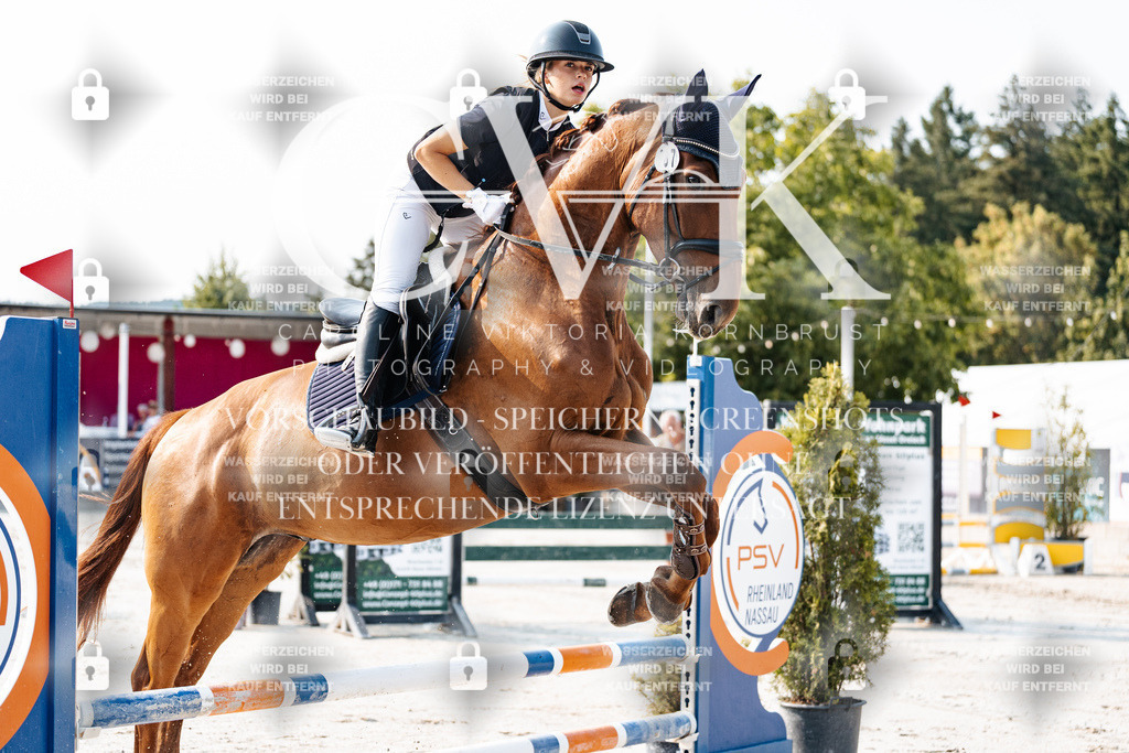 CK902828 | Turnierfotografie Pferdefotografie Trier Rheinland-Pfalz Pferdesport Reitsport Tierfotografie Sportfotografie Pferdevideo Pferdevideografie Equestrianvideography equestrianphotography  - Realisiert mit Pictrs.com