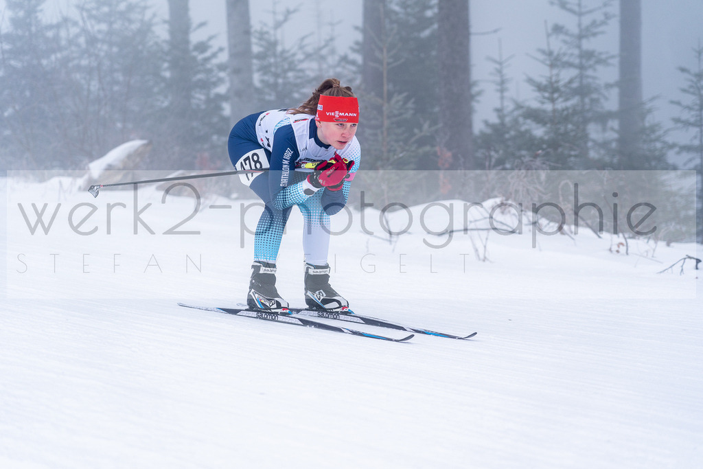 DSC Arber | Bayerischer Wald am 15. und 16. Januar 2022