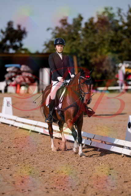2026_10_03_Siefer-Hof_115807_Z81_00212162 | Professionelle Reitsport-, Turnier- und Eventfotografie von Robert Broda. Galerien mit ausgewählten und bearbeiteten Bildern direkt online ansehen und bestellen.