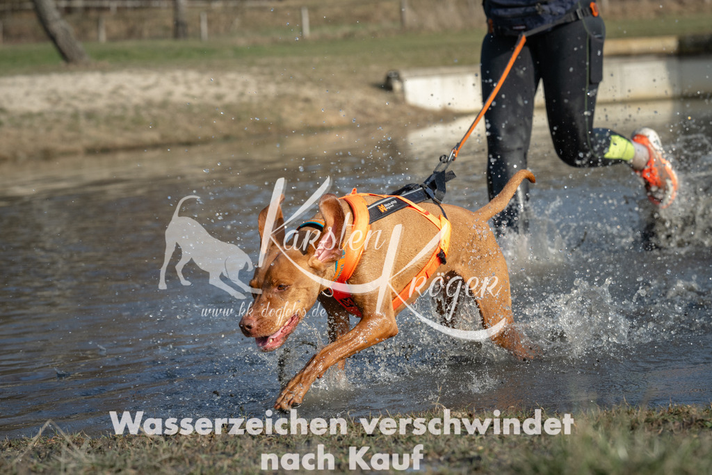 1531_ZZ91941 | kk-dogfotos