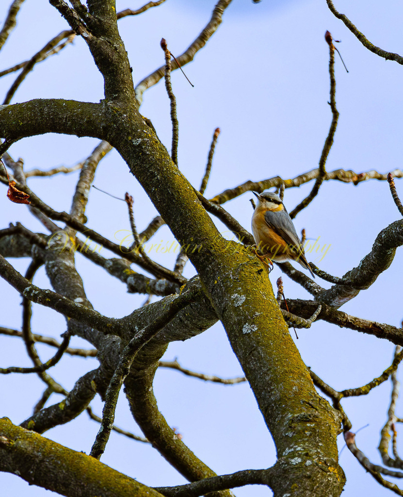 P 48 | Christian Vulin  - Realisiert mit Pictrs.com