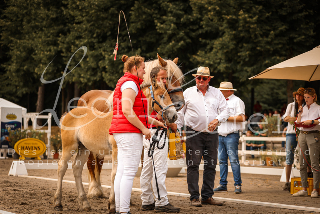 SaSF00120 | Leoni Ertmer Photography - Realisiert mit Pictrs.com