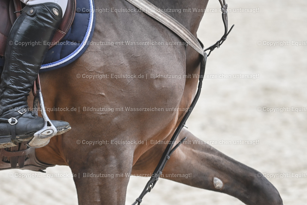 20230514_CCI4_Springen_0115 | equistock