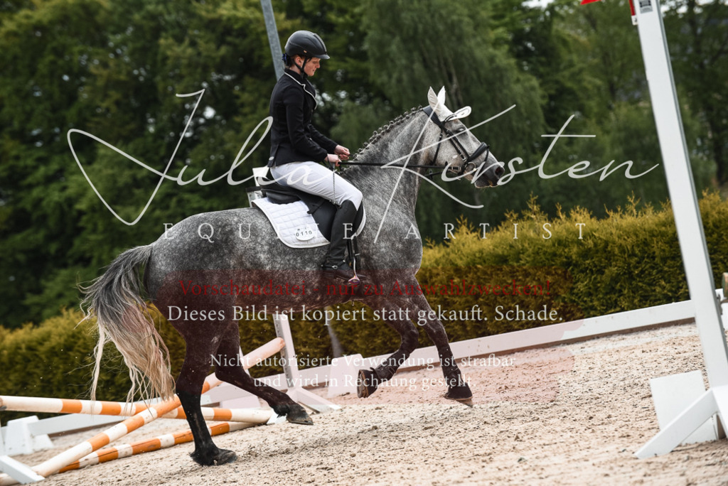 20230518_JK-Röhrsdorf-10-415 | Pferde- und Turnierfotografie in Westsachsen. Pferdeportraits, Auftragszeichnungen und intuitive Kunst.