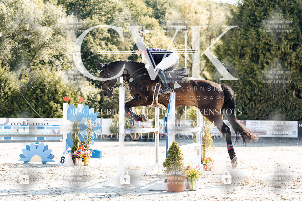CK902426 | Turnierfotografie Pferdefotografie Trier Rheinland-Pfalz Pferdesport Reitsport Tierfotografie Sportfotografie Pferdevideo Pferdevideografie Equestrianvideography equestrianphotography  - Realisiert mit Pictrs.com