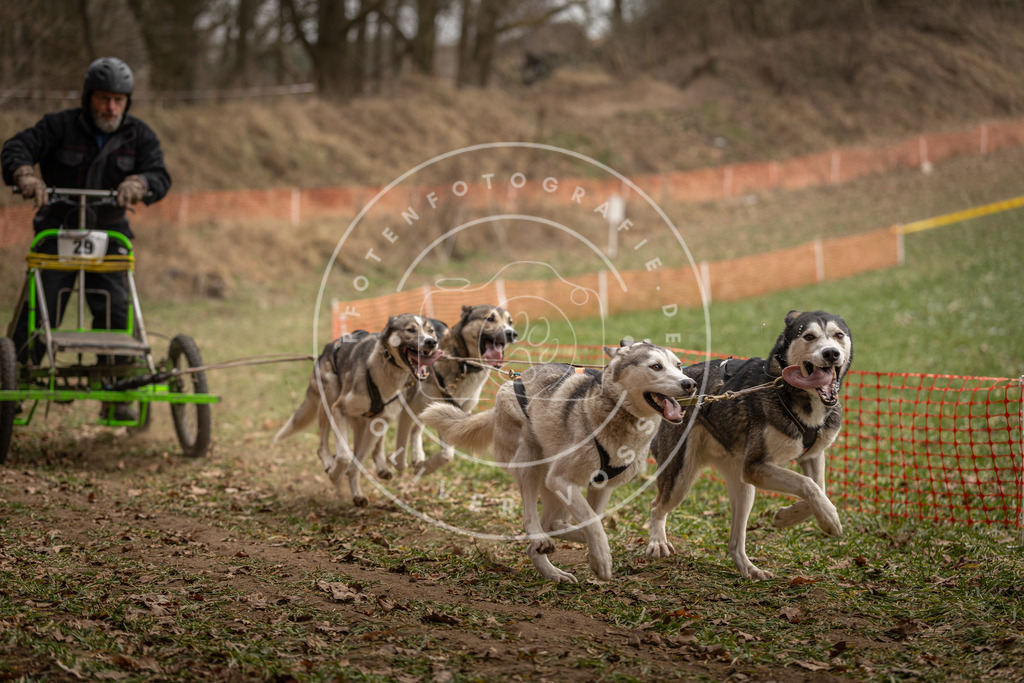 Pfotenfotografie_DV3A8425 | Hundefotografie, Tierfotograf, Pfotenfotografie, Fotoshooting Hund, Hunde Portrait, Hundesport, Hundeportraits, Heideshooting, Hunde, Sportfotograf, Hundefotograf, Turnierhundsport, THS,  - Realisiert mit Pictrs.com