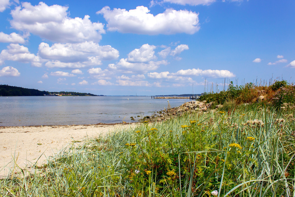 Wandbild: Strand in Wassersleben | Dieses Wandbild im Querformat zeigt den Strand in Wassersleben bei Flensburg. Im Vordergrund ist Strandhafer zu sehen. Am blauen Himmel befinden sich einige sommerliche Wolken. - Realisiert mit Pictrs.com