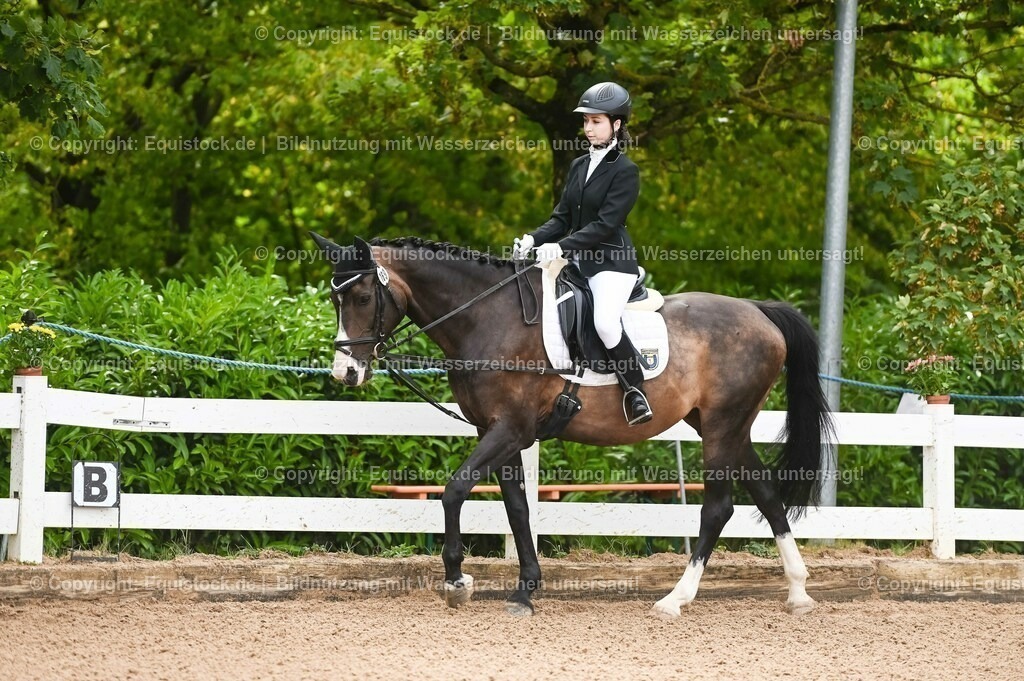 20230716_10-1_Reiter-WB Schritt - Trab - Galopp_0023 | equistock