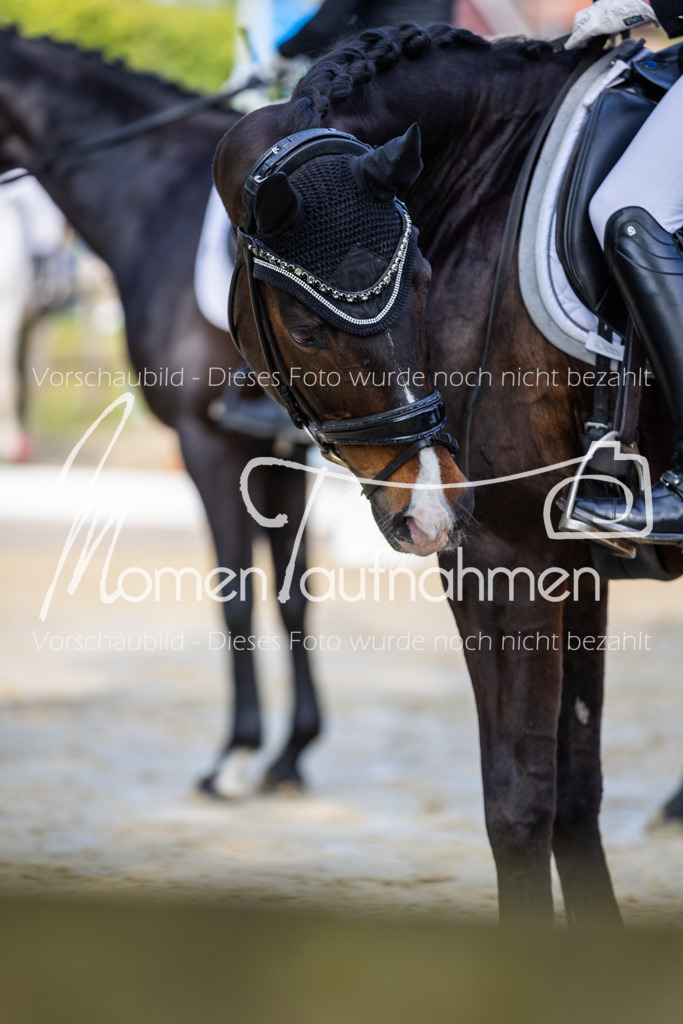 Donop24-A-Dre-131 | MomenTaufnahmen Pferdesportfotos