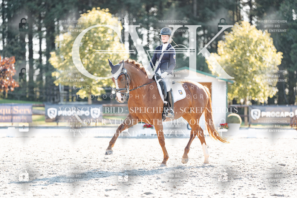CK906875 | Turnierfotografie Pferdefotografie Trier Rheinland-Pfalz Pferdesport Reitsport Tierfotografie Sportfotografie Pferdevideo Pferdevideografie Equestrianvideography equestrianphotography  - Realisiert mit Pictrs.com