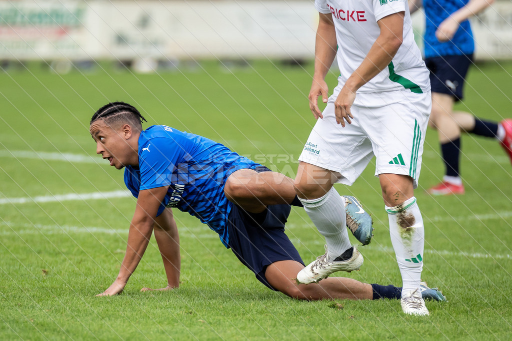 20250706_Picselweb-Fotografie_1R3_1667 | Dein Fotograf aus dem Landkreis Stade für Sport und Events - Realisiert mit Pictrs.com