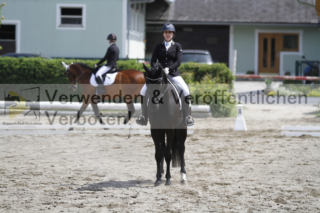 _MG_8498 | equestrian-live-com