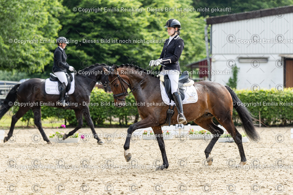 CL5A5463 | Emilia Reinking Fotografie - Realisiert mit Pictrs.com