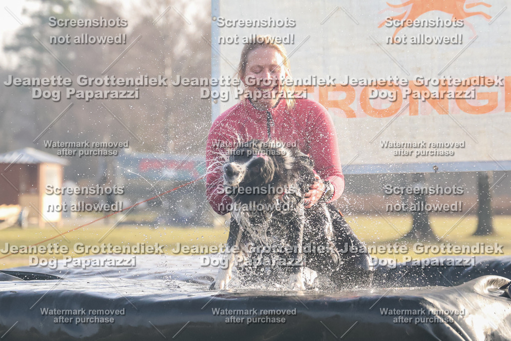 Dog Paparazzi - SD North 0326 900930-44 | Dog Paparazzi Jeanette Grottendiek Fotografie & Videografie - Realisiert mit Pictrs.com