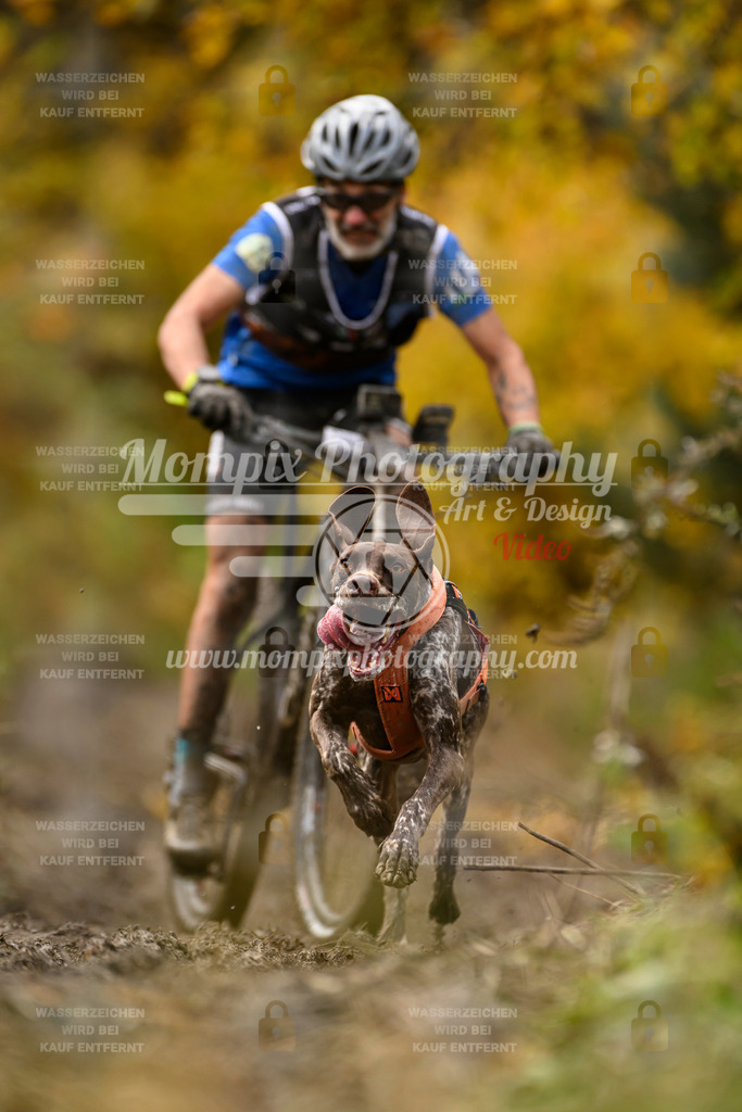MompixPhotography_ICF_WC_2024_SA_Bike_-159 | PayLife