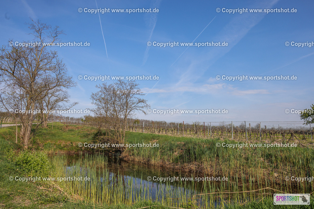 007A8547 | Neusiedlersee Radmarathon #neusiedlerseeradmarathon #neusiedlersee #nrm26 #yourpictrs #sportshot_your_pictrs