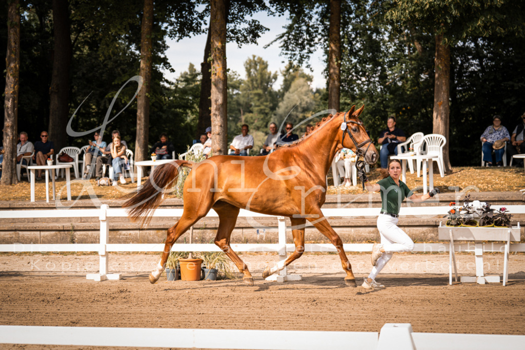 FrER00067 | Leoni Ertmer Photography - Realisiert mit Pictrs.com