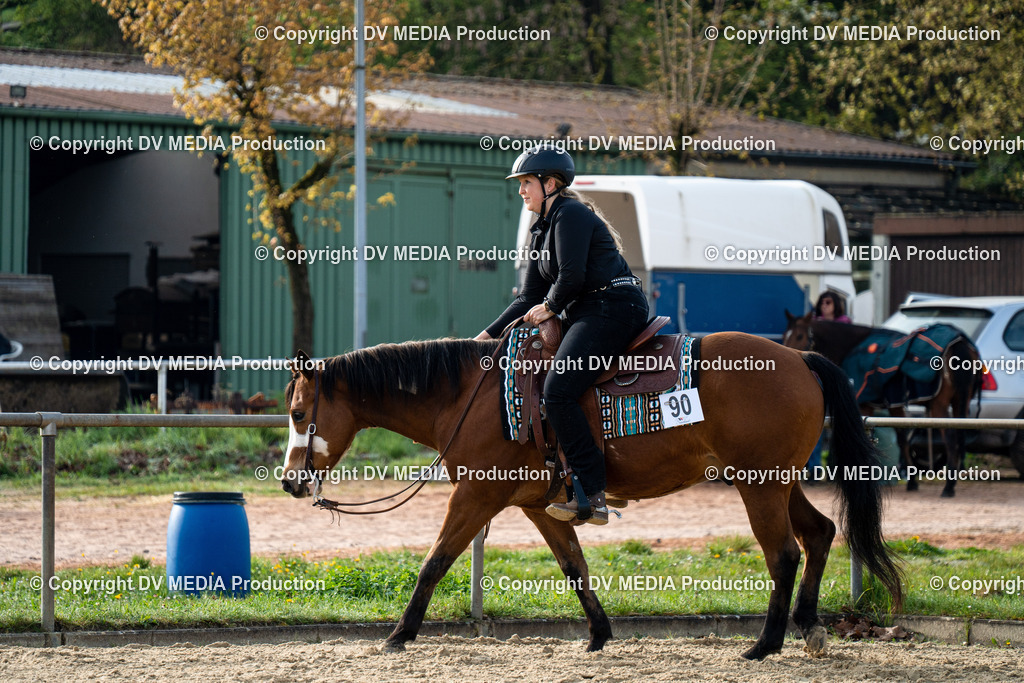 Heiligenwald Tag 2-13 | dv-media-shop - Realisiert mit Pictrs.com