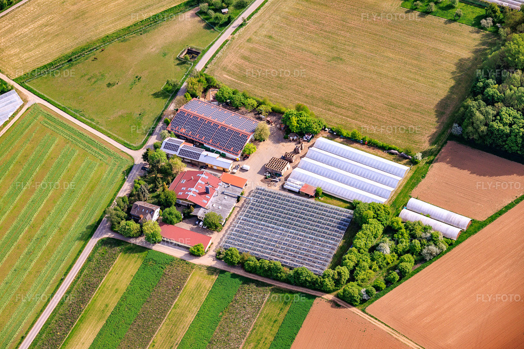 Luftbild: Hof Gut Ruppertzaint naturgemäße Landwirtschaft GmbH & Co. KG im Ortsteil Gänheim in Arnstein im Bundesland Bayern in Deutschland.Foto: IMG_155660.jpg vom 03.05.2026 durch Werner Riehm/FLY-FOTO.deAuflösung des Originals: 6000 x 4000 pxHof Gut Ruppertzaint - Hofladen mit Lieferservice