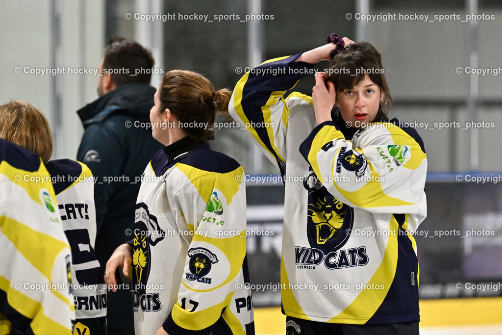 WILDCATS PATERNION & Lady Hawks Siegerehrung-Meisterfeier | #8 Kummer Katja WILDCATS PATERNION, Jubel Wildcats Paternion Mannschaft, WILDCATS PATERNION &amp; Lady Hawks Siegerehrung-Meisterfeier, WILDCATS PATERNION &amp; Lady Hawks Siegerehrung-Meisterfeier am 12.03.2025 in Steindorf (Ossiachersee Halle), Austria, (Photo by Bernd Stefan)