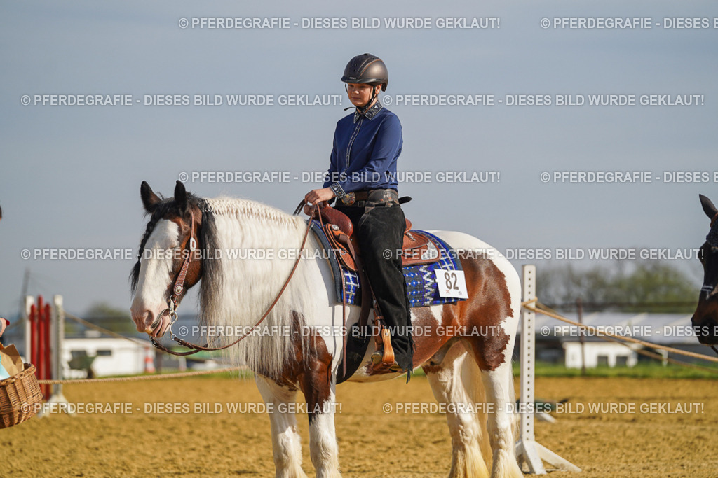 DSC00946 | Pferdegrafie