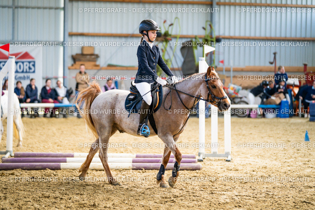 DSC02217 | Pferdegrafie