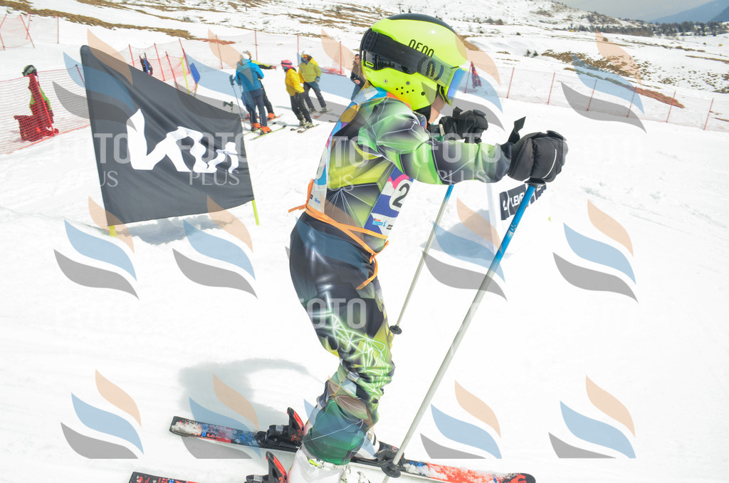 _ELE7803 | holidayphoto