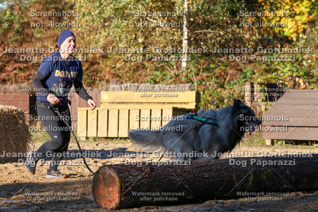 Dog Paparazzi - Strongdog 10-25-1087 | Dog Paparazzi Jeanette Grottendiek Fotografie & Videografie - Realisiert mit Pictrs.com