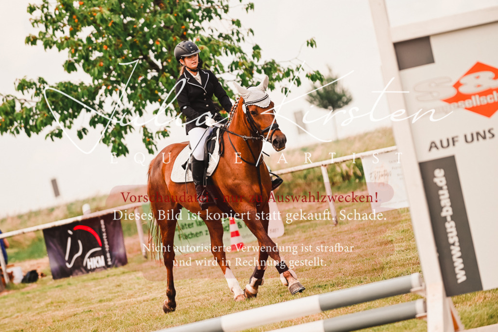 DSC_6849 | Pferde- und Turnierfotografie in Westsachsen. Pferdeportraits, Auftragszeichnungen und intuitive Kunst.
