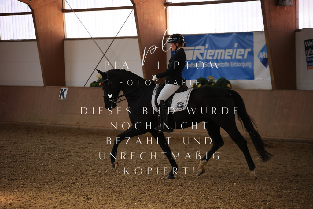 IMGT3213 | pl-fotografie