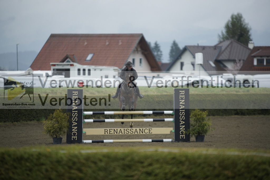 _DSC3729 | equestrian-live-com
