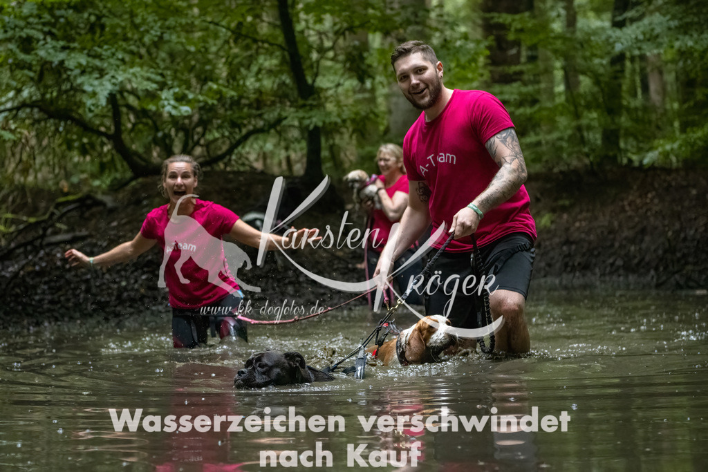 1143_ZZ91043-Bearbeitet-2 | kk-dogfotos