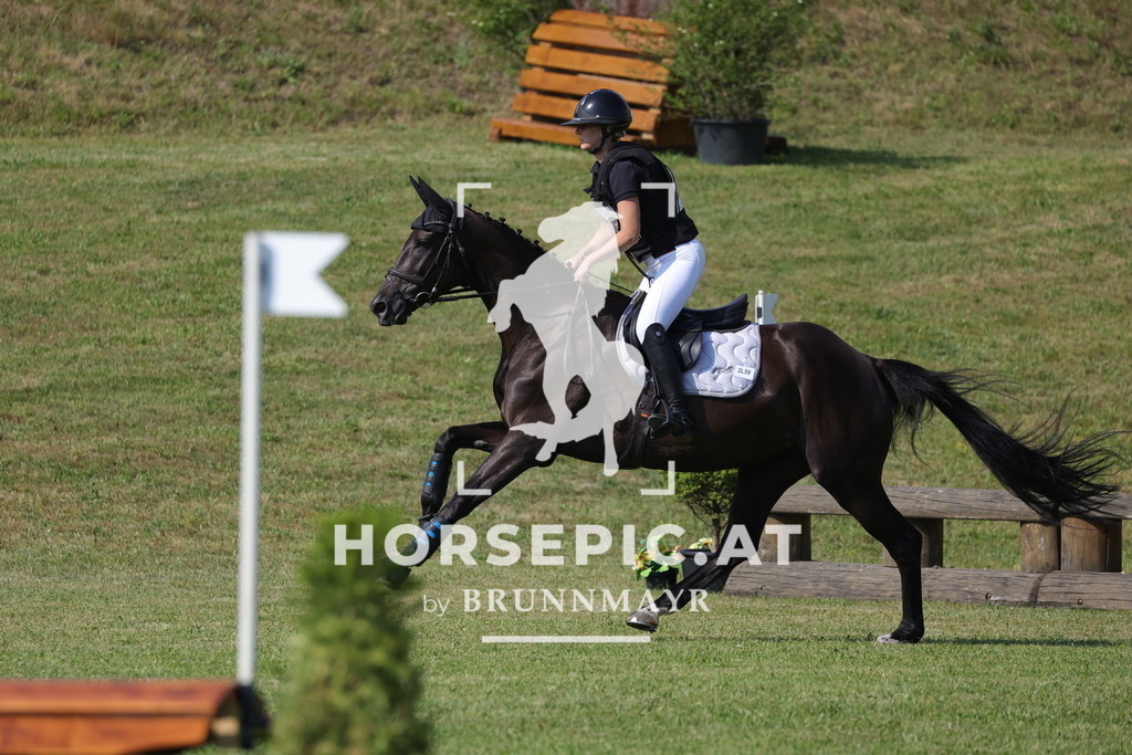 0P6A9095 | Willkommen bei Brunnmayr - Design & Fotografie – Ihrem Spezialisten für Reitturniere und Pferdeveranstaltungen in Oberösterreich, Salzburg und Bayern! Seit über 17 Jahren sind wir leidenschaftlich dabei.