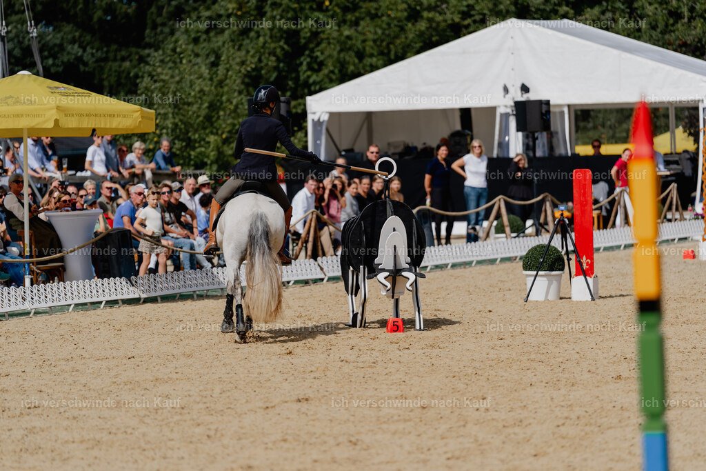 Svea13FHC2025-2844 | working equitationturnier fotograf videograf stoibphotography marixx film working equitation deutschland reitsport turnierfotografie eventfotografie equestrian events