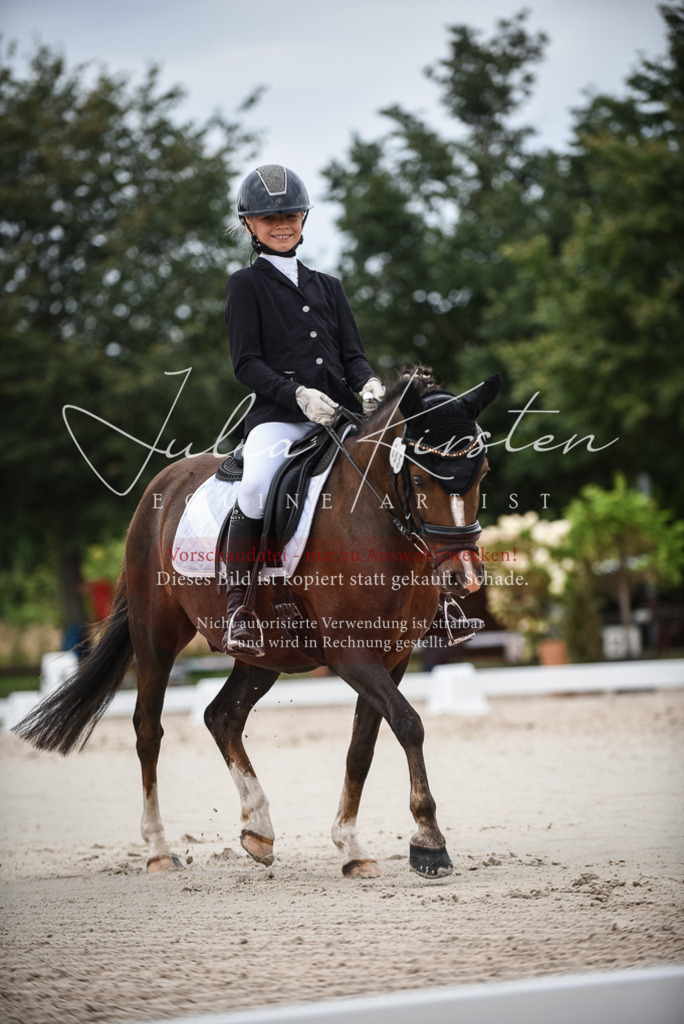 DSC_8119 | Pferde- und Turnierfotografie in Westsachsen. Pferdeportraits, Auftragszeichnungen und intuitive Kunst.