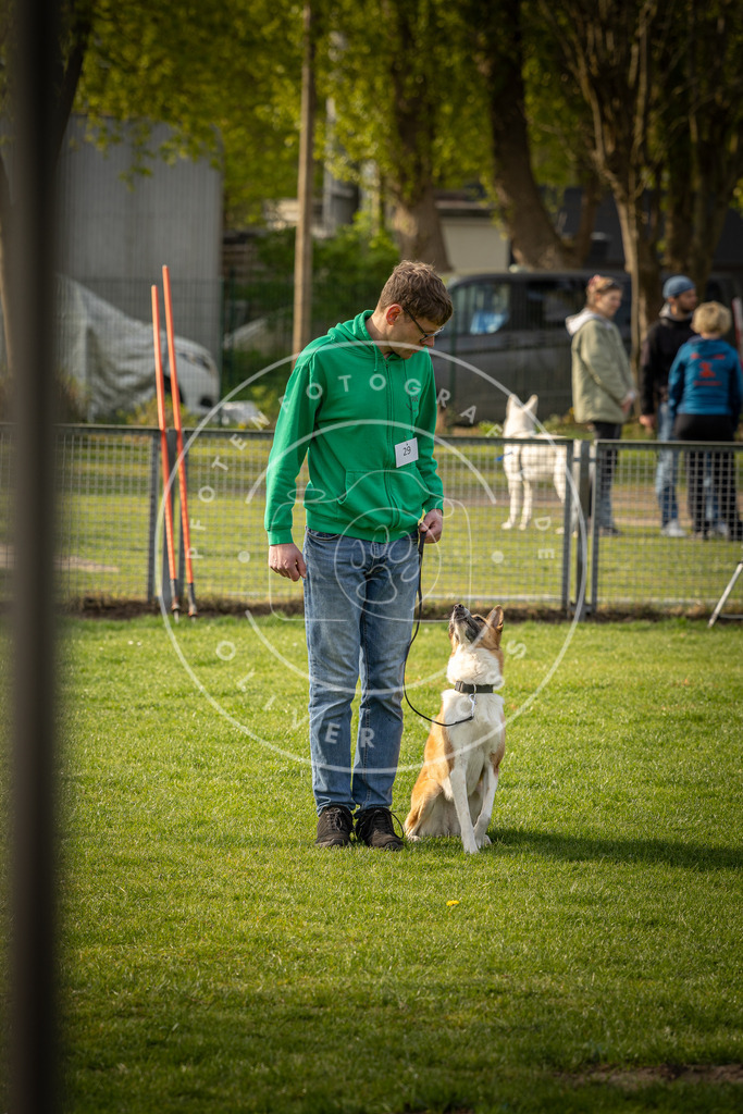 Pfotenfotografie_DV3A4882 | Hundefotografie, Tierfotograf, Pfotenfotografie, Fotoshooting Hund, Hunde Portrait, Hundesport, Hundeportraits, Heideshooting, Hunde, Sportfotograf, Hundefotograf, Turnierhundsport, THS,  - Realisiert mit Pictrs.com